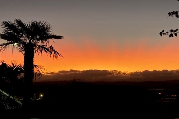 House sit in Napier, New Zealand