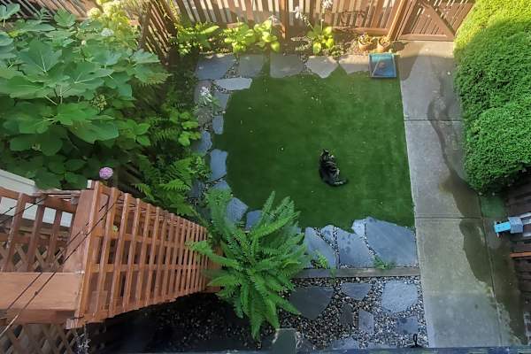 House sit in Surrey, BC, Canada
