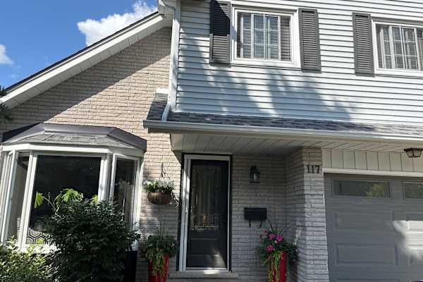 House sit in Guelph, ON, Canada