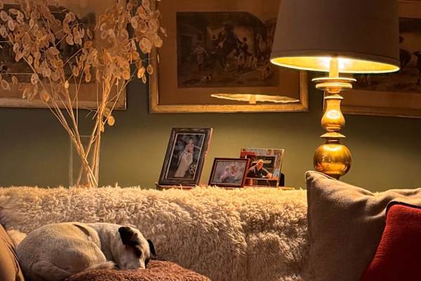 House sit in Nantwich, United Kingdom