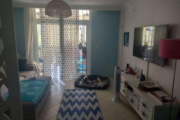 House sit in Kuşadası, Turkey