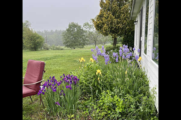 House sit in Gorham, ME, US