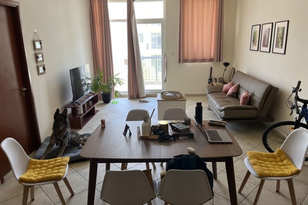 House sit in Dubai, United Arab Emirates