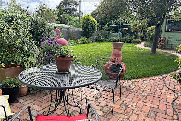 House sit in Canberra, Australian Capital Territory, Australia