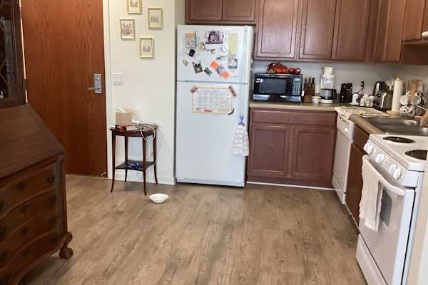 House sit in Livonia, MI, US