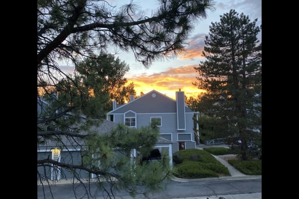 House sit in Gunbarrel, CO, US