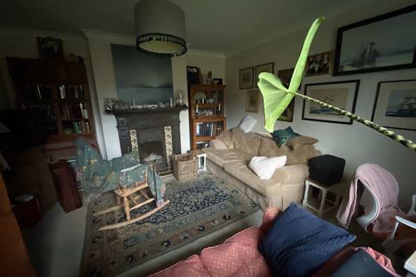 House sit in Hassocks, United Kingdom