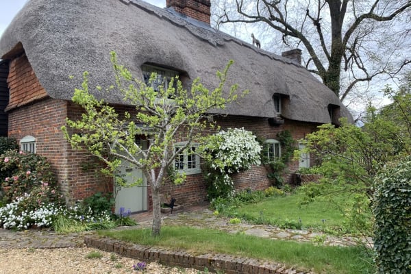 House sit in Alton, United Kingdom