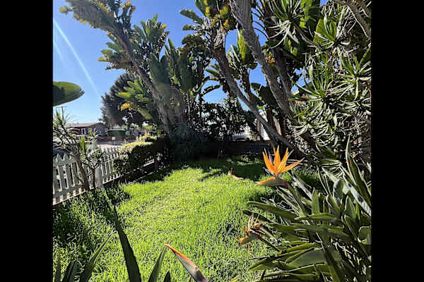 House sit in San Diego, CA, US