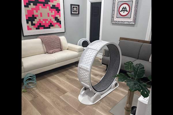 House sit in Bonita Springs, FL, US