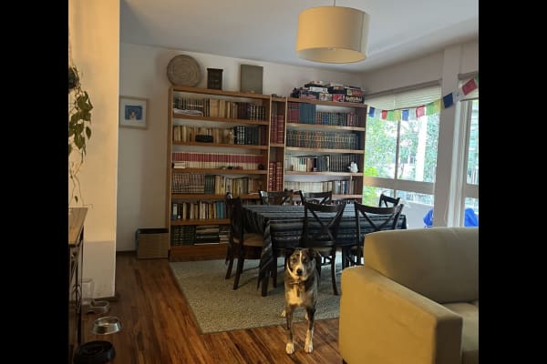 House sit in Mexico City, Mexico