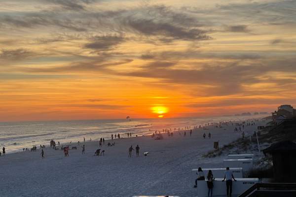 House sit in Miramar Beach, FL, US