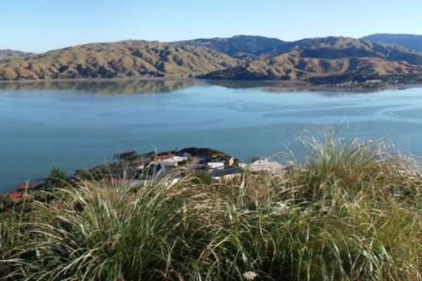 House sit in Porirua, New Zealand