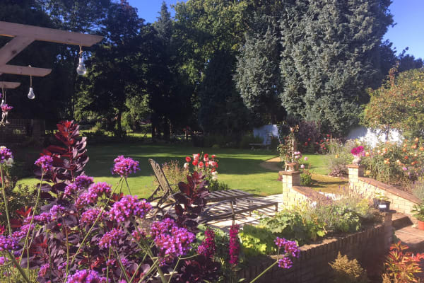 House sit in East Horsley Village, United Kingdom