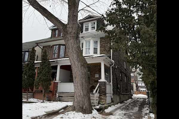 House sit in Toronto, ON, Canada