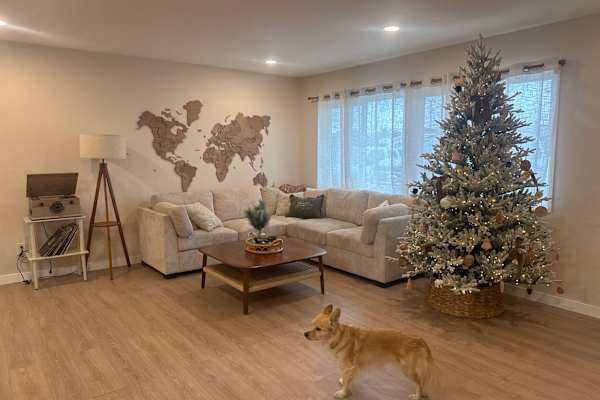 House sit in Huntington Beach, CA, US