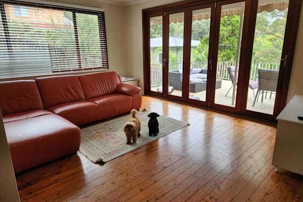 House sit in Newport, NSW, Australia