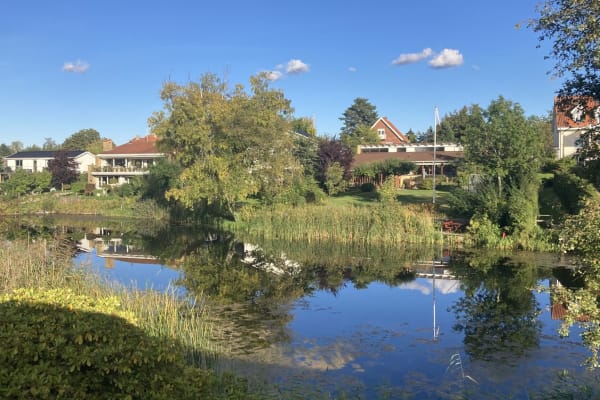 House sit in Copenhagen, Denmark