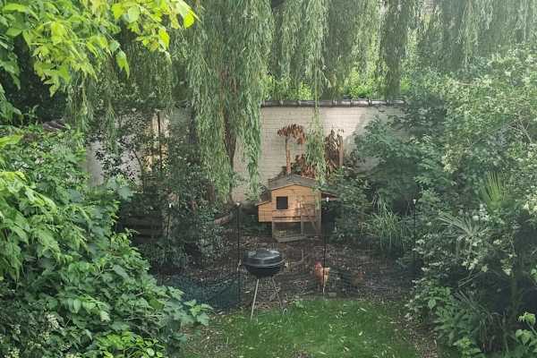 House sit in Brussels, Belgium