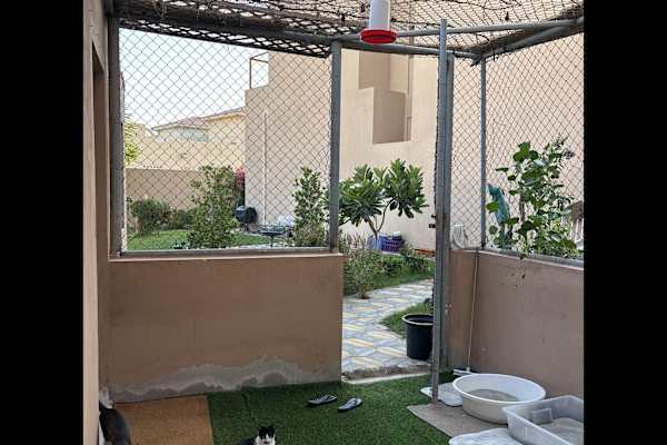 House sit in Abu Dhabi, United Arab Emirates