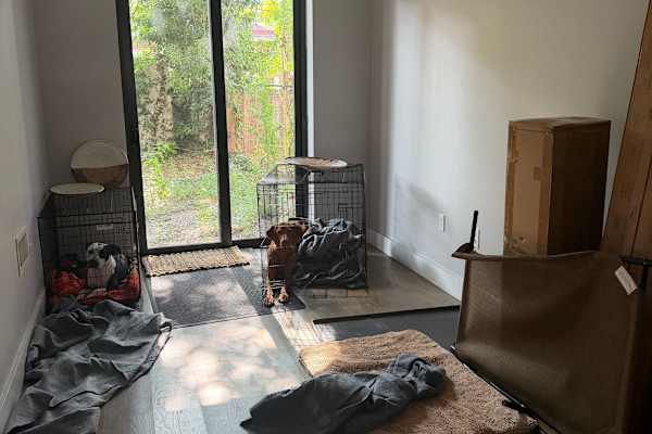 House sit in Brooklyn, NY, US