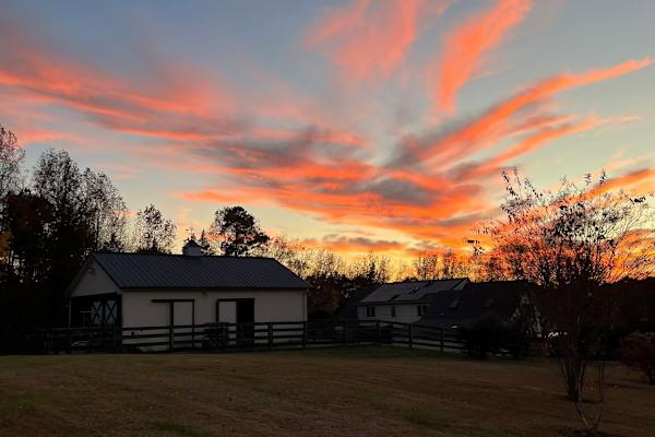 House sit in Durham, NC, US