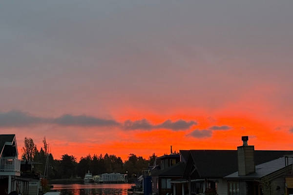 House sit in Seattle, WA, US