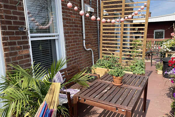 House sit in Montréal, QC, Canada