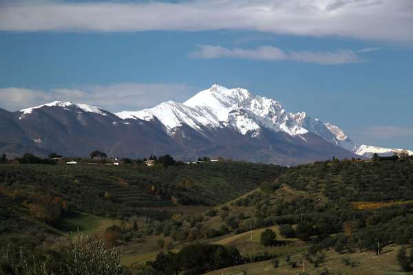 House sit in Pianella, Italy