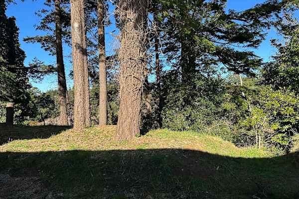 House sit in Port Orford, OR, US