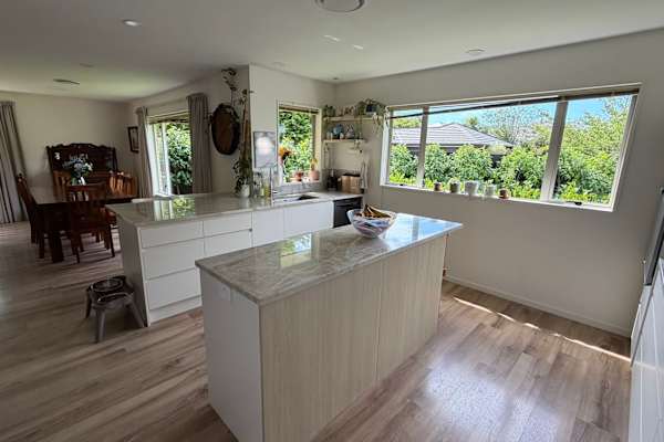 House sit in Christchurch, New Zealand