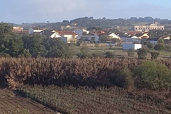 House sit in Manique do Intendente, Portugal
