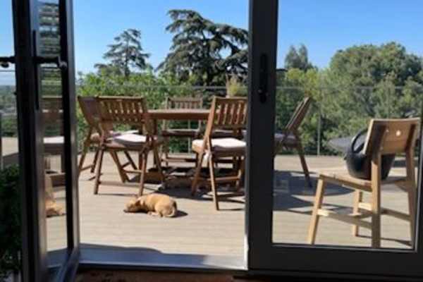 House sit in Studio City, CA, US