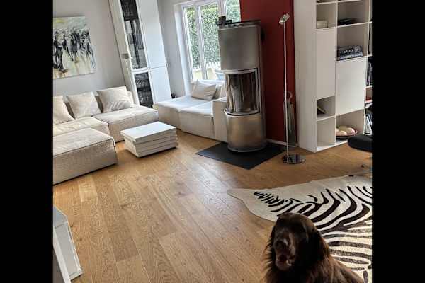 House sit in Wiesbaden, Germany
