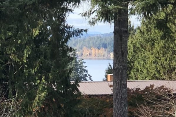 House sit in Bainbridge Island, WA, US