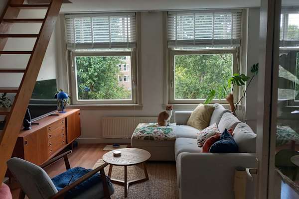 House sit in Amsterdam, Netherlands