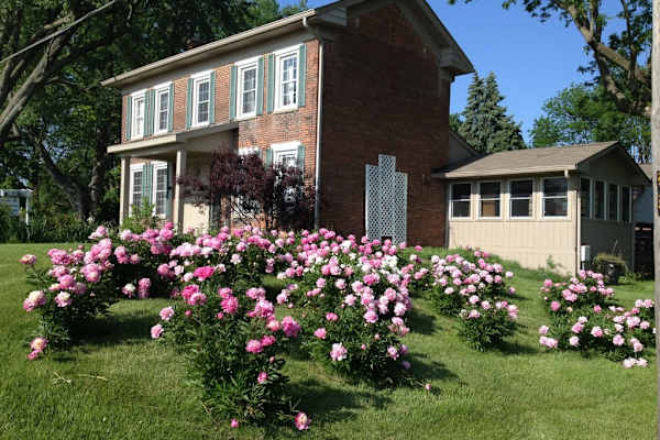 House sit in Brownsburg, IN, US