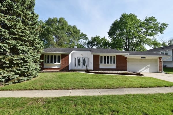 House sit in Woodridge, IL, US