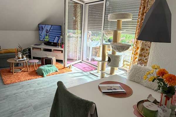 House sit in Essen, Germany