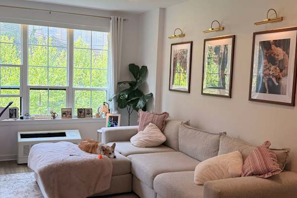 House sit in Jersey City, NJ, US