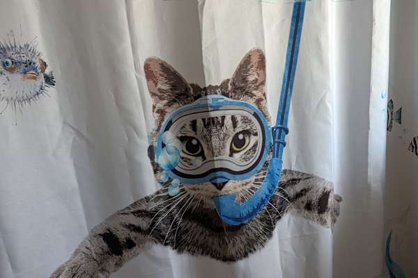 House sit in Klamath Falls, OR, US