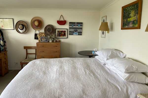 House sit in Havelock North, New Zealand