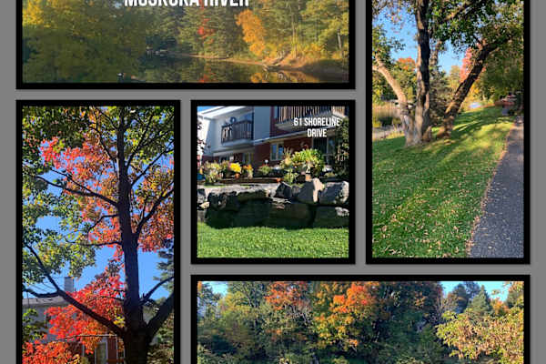 House sit in Bracebridge, ON, Canada