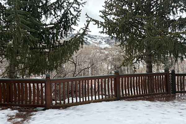 House sit in Aspen, CO, US