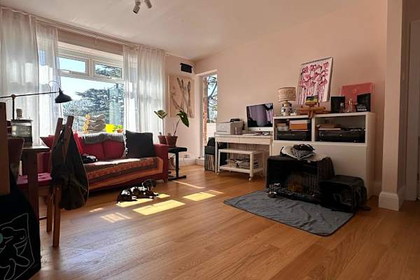 House sit in Twickenham, United Kingdom