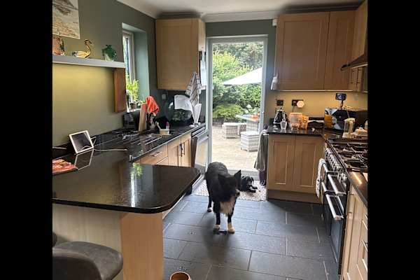 House sit in Epsom, United Kingdom