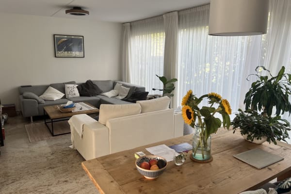 House sit in Amsterdam, Netherlands