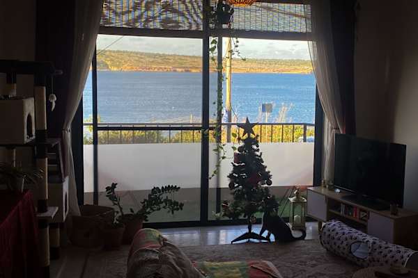 House sit in Mellieħa, Malta