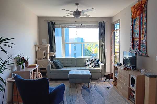House sit in Atlanta, GA, US
