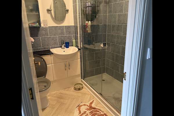 House sit in Kingsbridge, United Kingdom